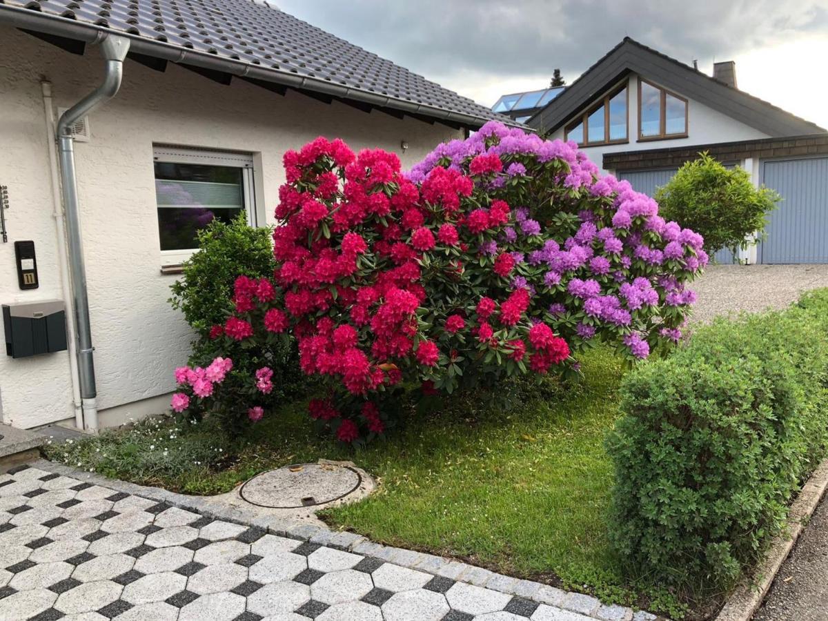 Schwarzwaldhirsch Apartment Unterkirnach Ngoại thất bức ảnh